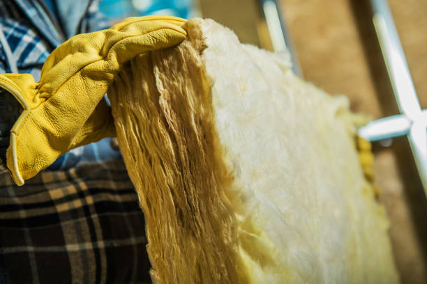 Best Eco-Friendly Insulation in Prescott, AR